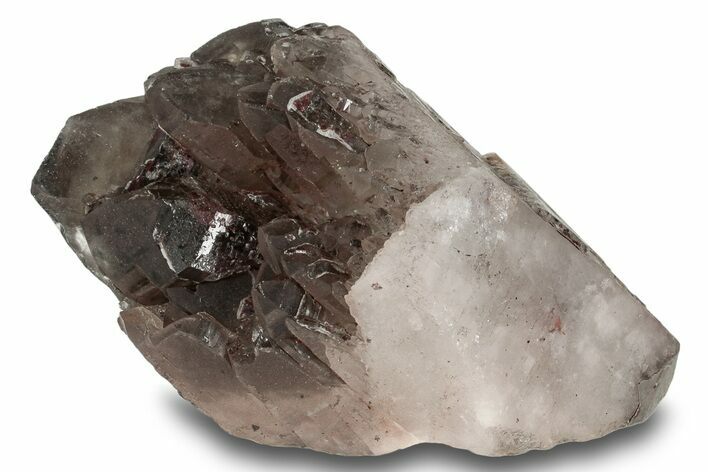 Natural, Dark Smoky Quartz Crystal - Colorado #244511